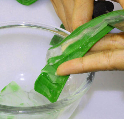 aloe gel aloe gel